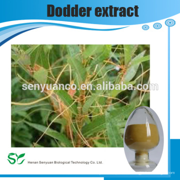 Extracto natural puro de Dodder con muestra gratuita